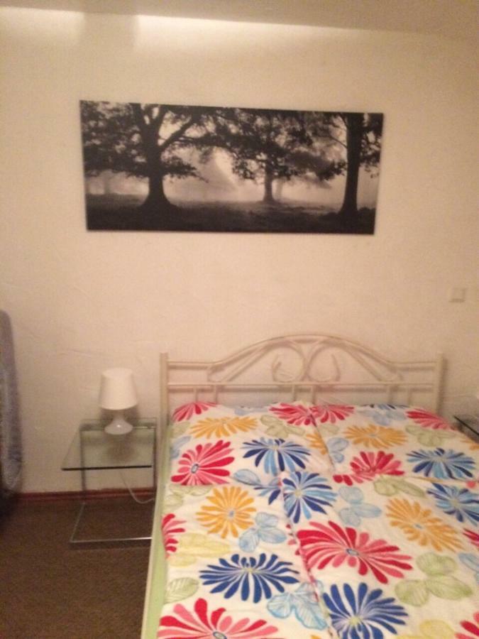 Wohnung Nur Fuer Monteure Und Handwerker באד קרוצינגן מראה חיצוני תמונה